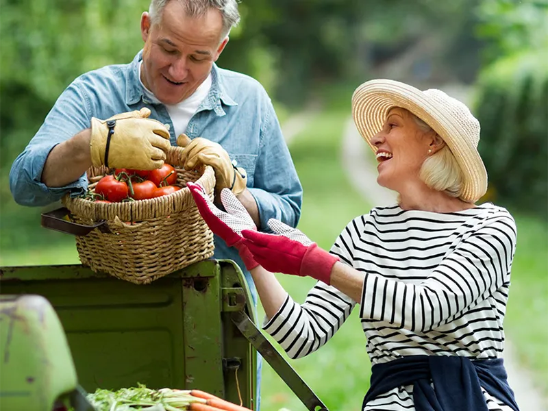 lp-circle-digestive-colorectal-west-couple-with-tomato-basket
